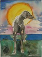 Ghost Dog