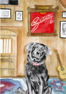 Sweetwater's Emma